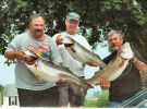 Filename=Fred Fish.jpg
Filesize=236KB
Dimensions=891x658
Date added=Apr 12, 2005 Fred Fish.jpg